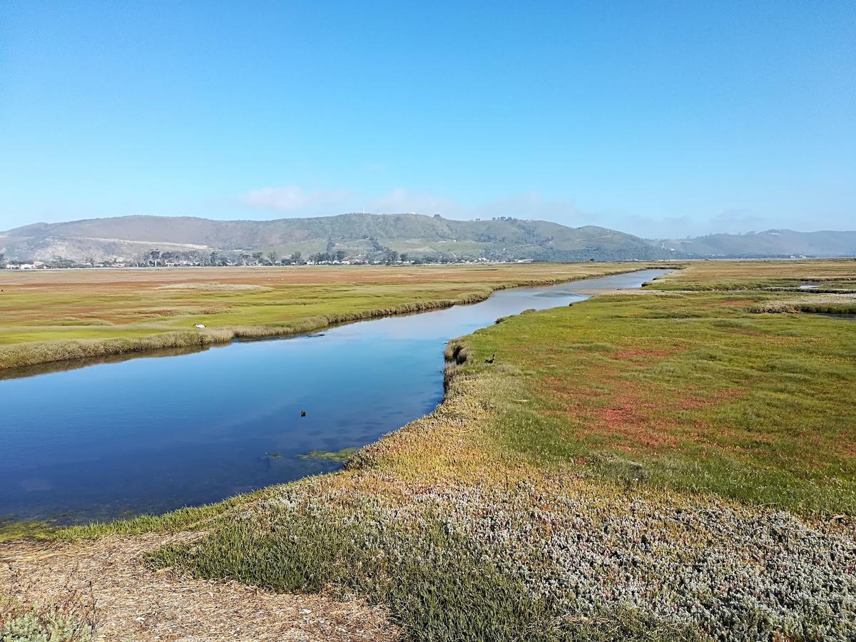 Knysna Herons Guest House Zewnętrze zdjęcie