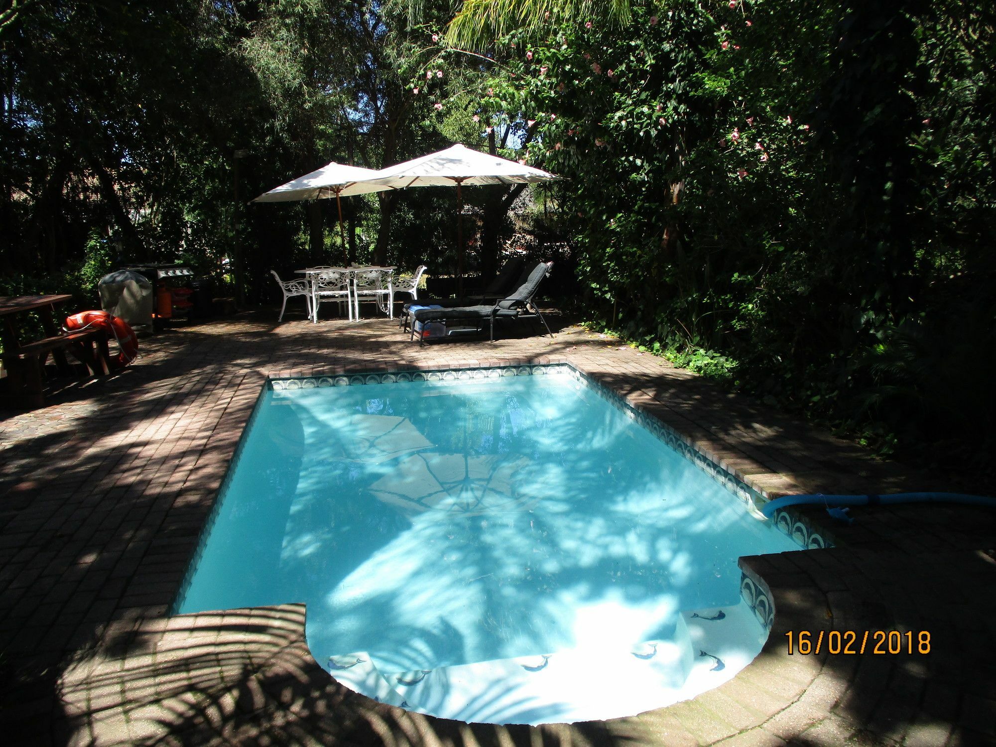 Knysna Herons Guest House Zewnętrze zdjęcie